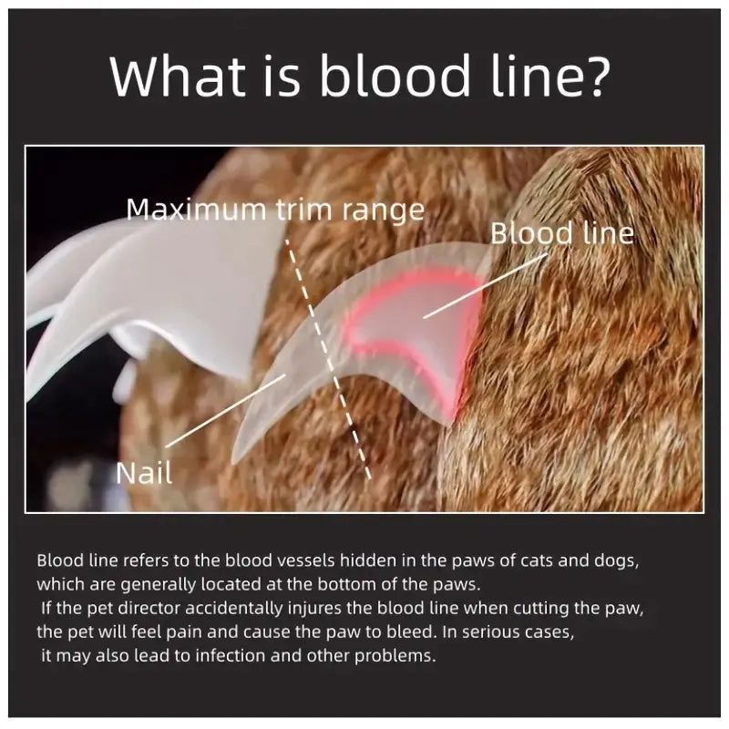 LED Pet Nail Clipper with Scissors and Magnifying Glass