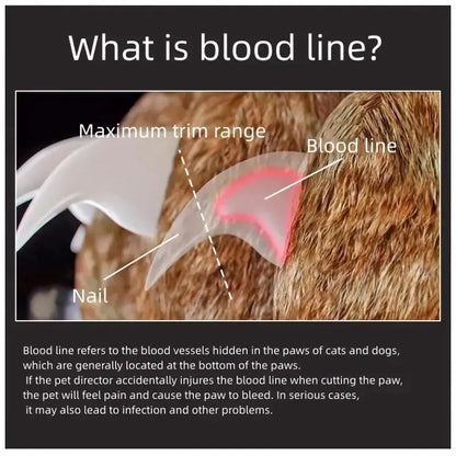 LED Pet Nail Clipper with Scissors and Magnifying Glass